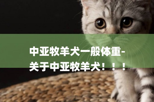 中亞牧羊犬一般體重-
關于中亞牧羊犬！！！