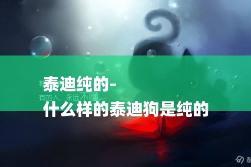泰迪純的-
什么樣的泰迪狗是純的