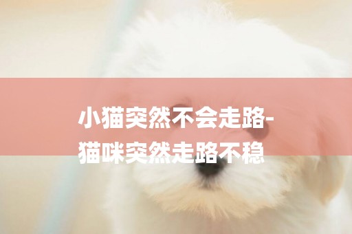 小貓突然不會走路-
貓咪突然走路不穩