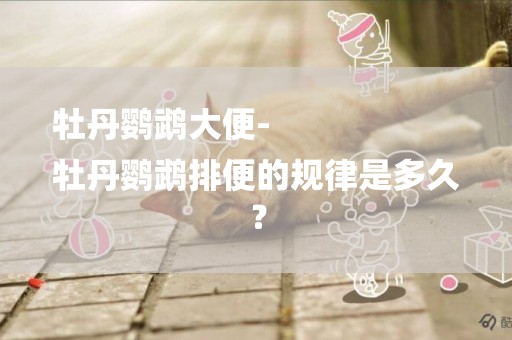 牡丹鸚鵡大便-
牡丹鸚鵡排便的規律是多久？