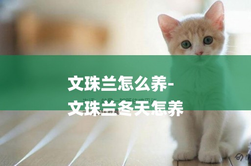 文珠蘭怎么養-
文珠蘭冬天怎養