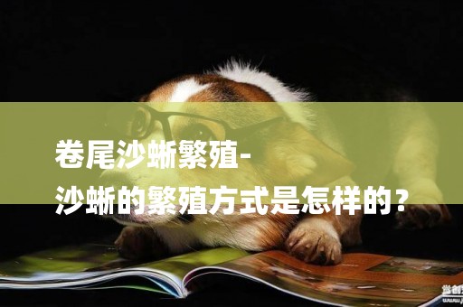 卷尾沙蜥繁殖-
沙蜥的繁殖方式是怎樣的？