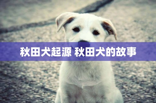 秋田犬起源 秋田犬的故事 秋田犬起源 秋田犬的故事