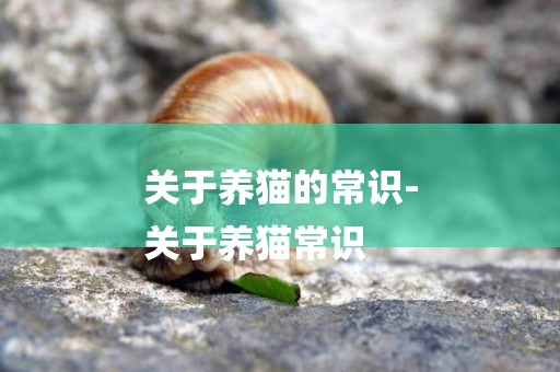 關于養貓的常識-
關于養貓常識