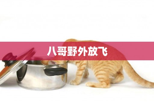八哥野外放飛