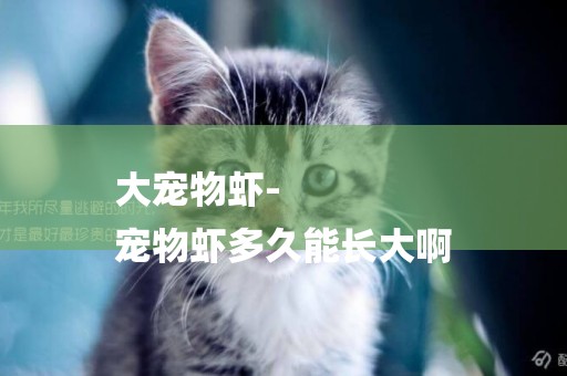 大寵物蝦-
寵物蝦多久能長大啊