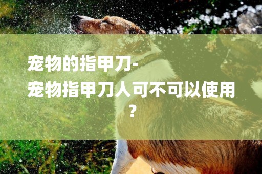 寵物的指甲刀-
寵物指甲刀人可不可以使用？