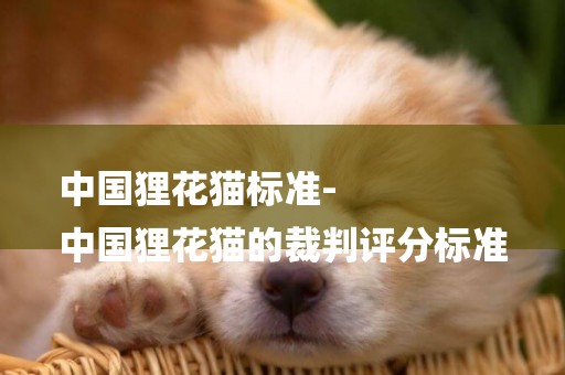 中國貍花貓標準-
中國貍花貓的裁判評分標準
