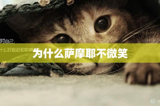 為什么薩摩耶不微笑
