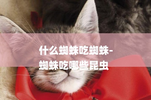什么蜘蛛吃蜘蛛-
蜘蛛吃哪些昆蟲