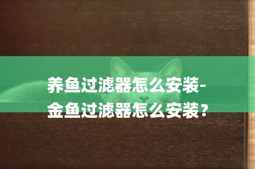 養魚過濾器怎么安裝-
金魚過濾器怎么安裝？