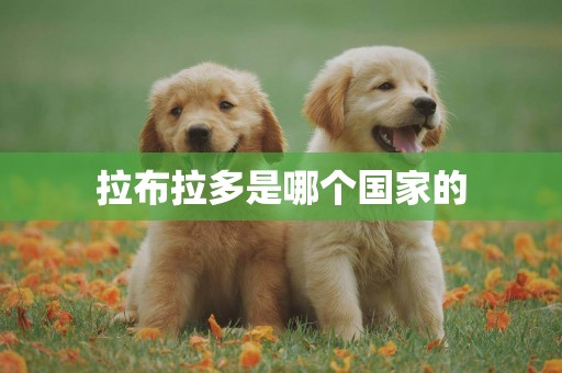 拉布拉多是哪個國家的