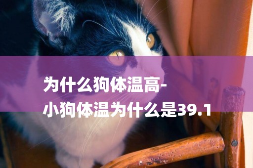 為什么狗體溫高-
小狗體溫為什么是39.1