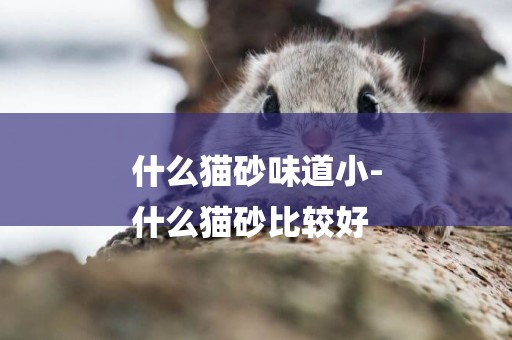 什么貓砂味道小-
什么貓砂比較好
