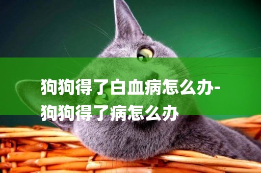 狗狗得了白血病怎么辦-
狗狗得了病怎么辦