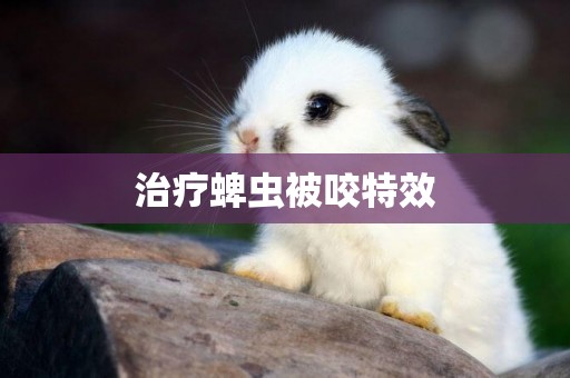 治療蜱蟲被咬特效