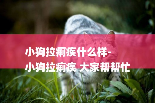 小狗拉痢疾什么樣-
小狗拉痢疾 大家幫幫忙