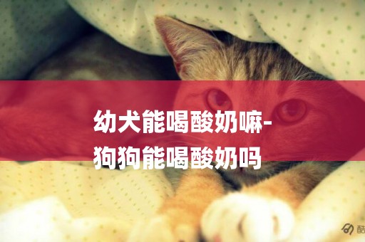幼犬能喝酸奶嘛-
狗狗能喝酸奶嗎
