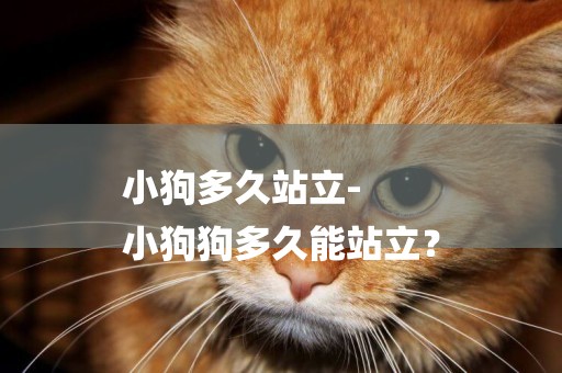 小狗多久站立-
小狗狗多久能站立？