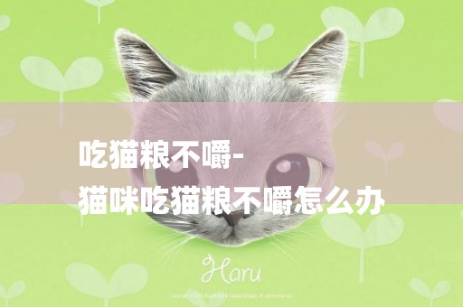 吃貓糧不嚼-
貓咪吃貓糧不嚼怎么辦
