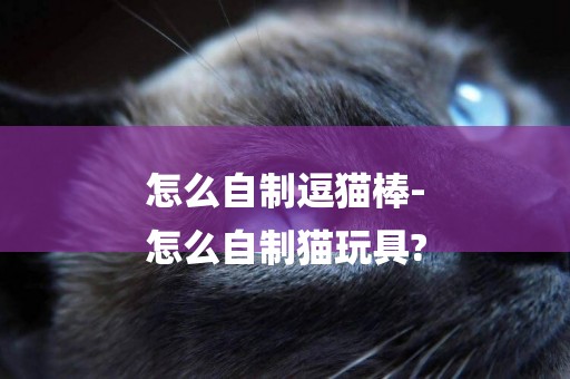 怎么自制逗貓棒-
怎么自制貓玩具?