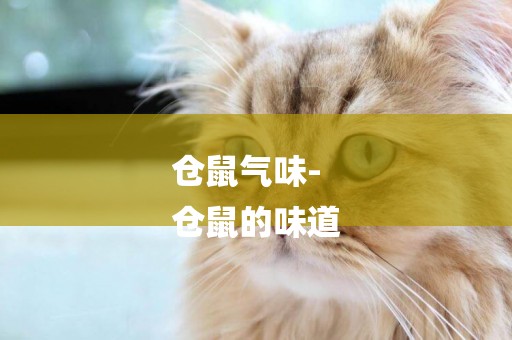 倉鼠氣味-
倉鼠的味道
