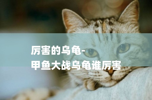 厲害的烏龜-
甲魚大戰烏龜誰厲害
