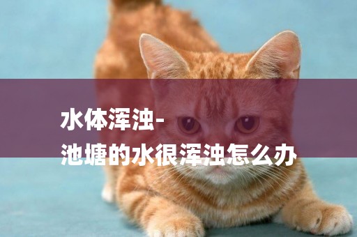水體渾濁-
池塘的水很渾濁怎么辦