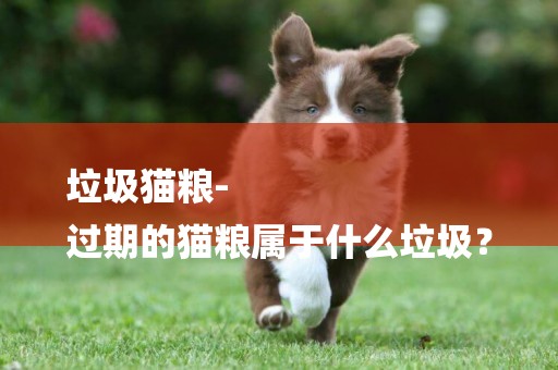 垃圾貓糧-
過期的貓糧屬于什么垃圾？