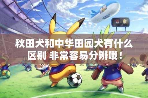 秋田犬和中華田園犬有什么區別 非常容易分辨哦！
