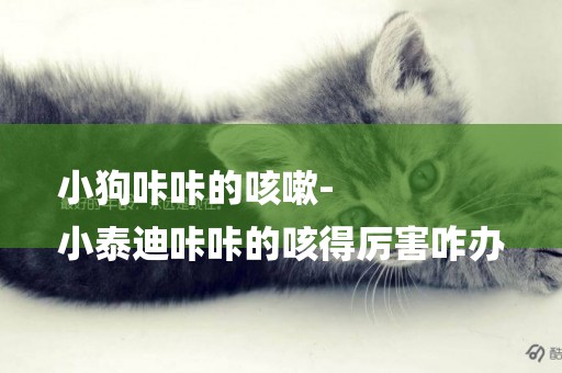 小狗咔咔的咳嗽-
小泰迪咔咔的咳得厲害咋辦