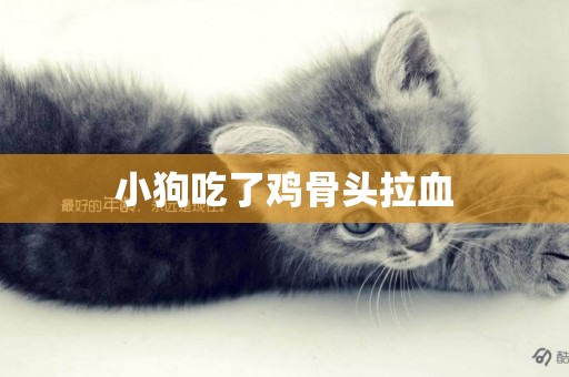 小狗吃了雞骨頭拉血