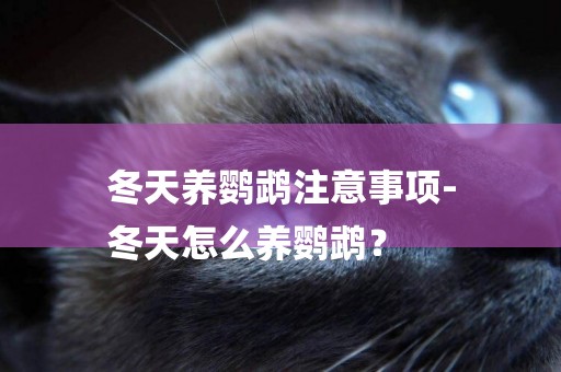 冬天養鸚鵡注意事項-
冬天怎么養鸚鵡？