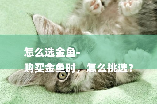 怎么選金魚-
購買金魚時，怎么挑選？