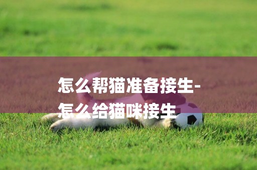 怎么幫貓準備接生-
怎么給貓咪接生