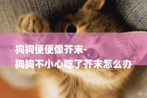 狗狗便便像芥末-
狗狗不小心吃了芥末怎么辦