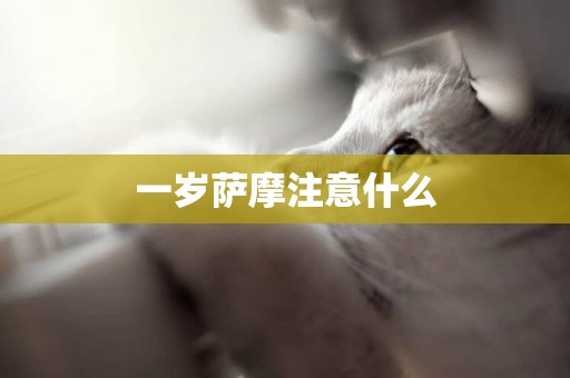 一歲薩摩注意什么