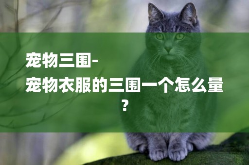 寵物三圍-
寵物衣服的三圍一個怎么量?