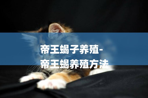 帝王蝎子養殖-
帝王蝎養殖方法