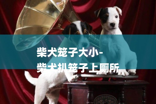 柴犬籠子大小-
柴犬扒籠子上廁所