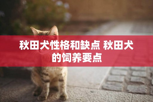 秋田犬性格和缺點 秋田犬的飼養要點