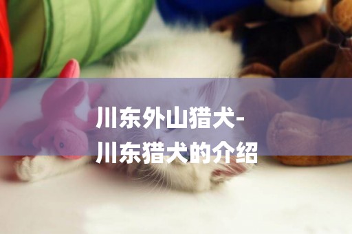 川東外山獵犬-
川東獵犬的介紹