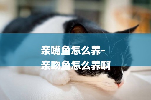 親嘴魚怎么養-
親吻魚怎么養啊
