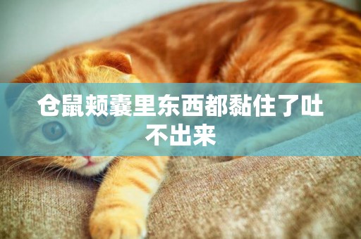倉鼠頰囊里東西都黏住了吐不出來