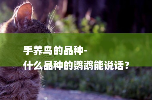 手養鳥的品種-
什么品種的鸚鵡能說話？