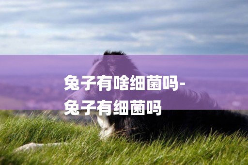兔子有啥細菌嗎-
兔子有細菌嗎