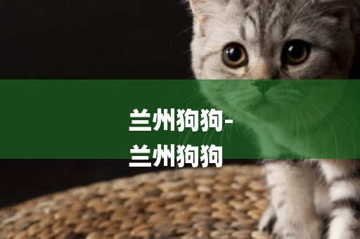 蘭州狗狗-
蘭州狗狗