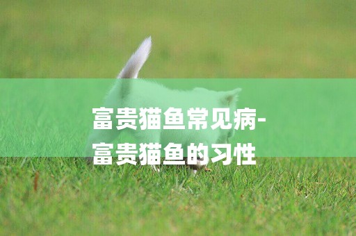 富貴貓魚常見病-
富貴貓魚的習性