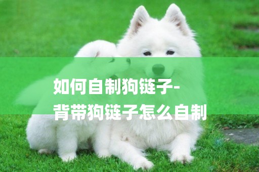 如何自制狗鏈子-
背帶狗鏈子怎么自制