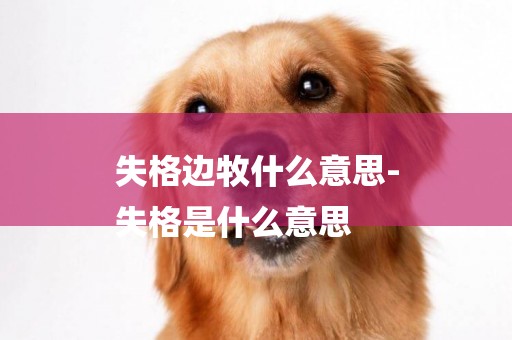 失格邊牧什么意思-
失格是什么意思